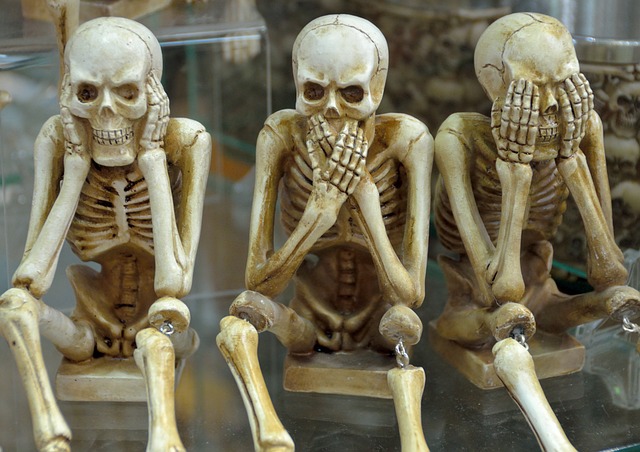 Osteosynthese ontrafeld: een diepe duik in botgenezing en -herstel