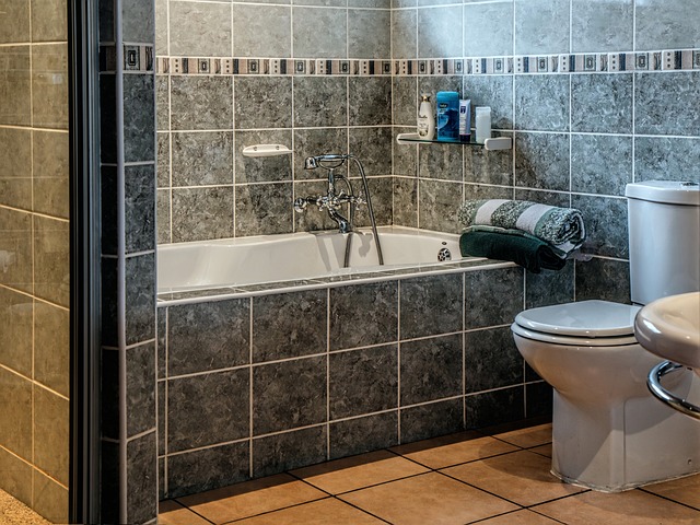 De kunst van het toiletbezoek: een blik op WC-brillen met print
